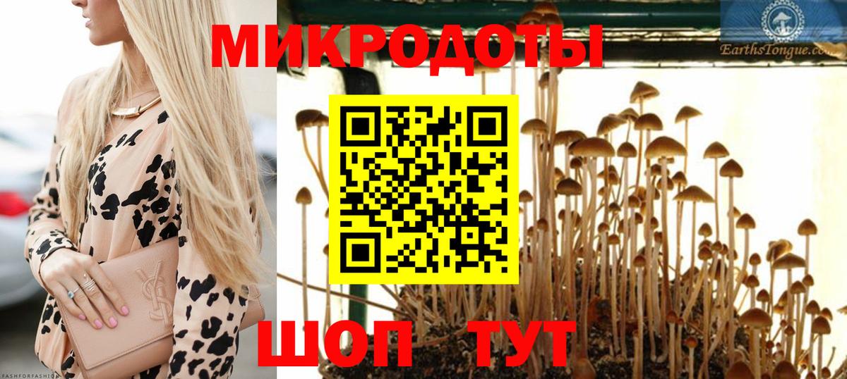 Псилоцибиновые грибы GOLDEN TEACHER Салехард