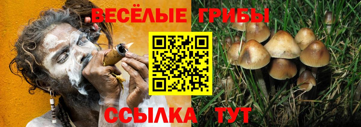 Галлюциногенные грибы GOLDEN TEACHER  Вход с VPN  как найти закладки  Салехард 